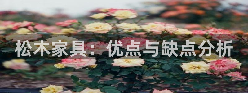 安信12正版下载