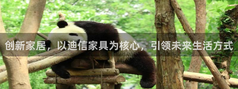 安信安赢12号
