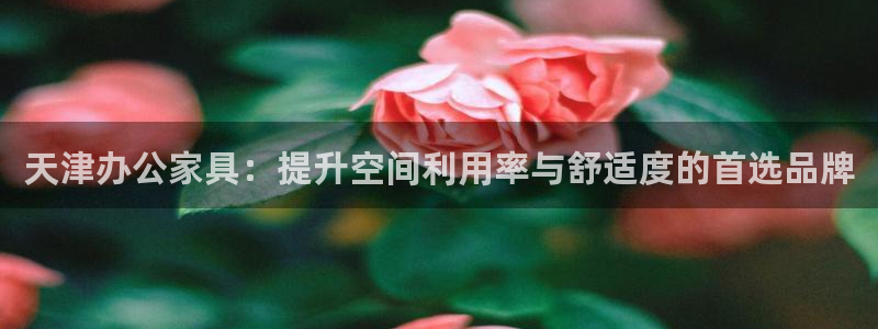 安信12主管