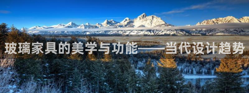 安信12主管