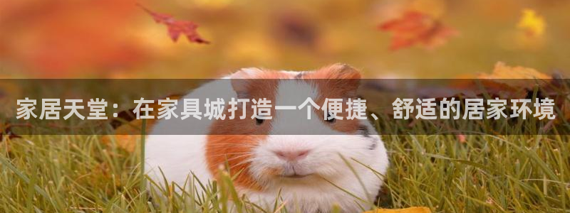 安信4娱乐去55 12