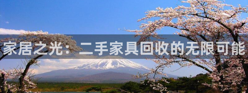安信12位数资金号