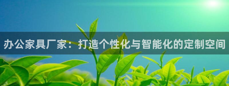 安信esp12