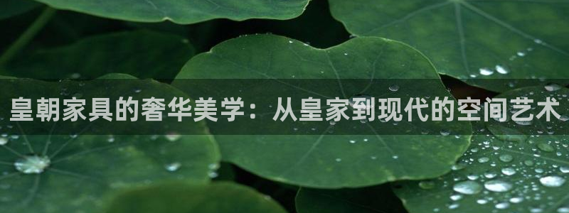 安信12怎么下载