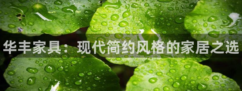 安信12官方下载