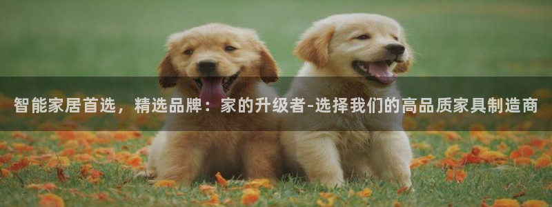 安信证券手机壳12