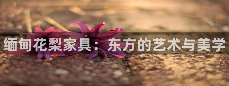 安信12是什么平台
