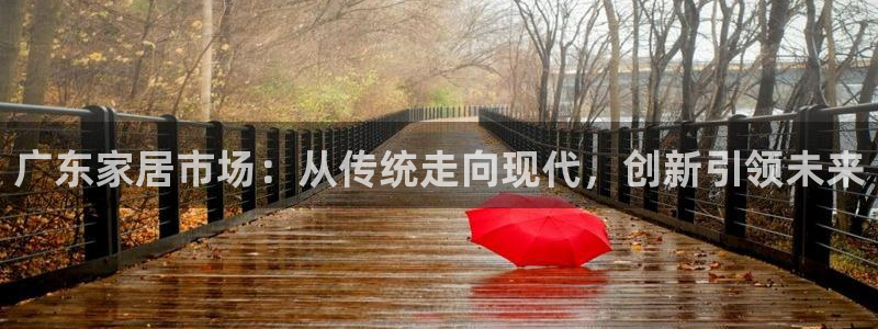 安信12官方网站查询