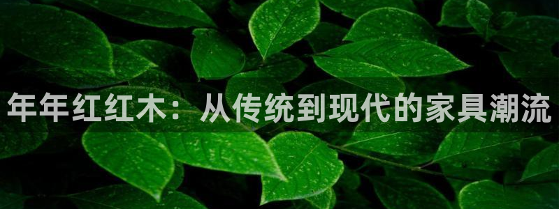 安信卓越12月