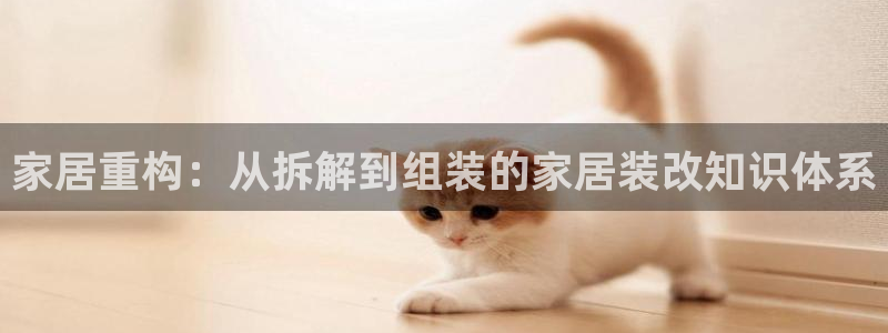 安信12招商