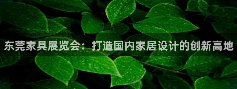 安信12app