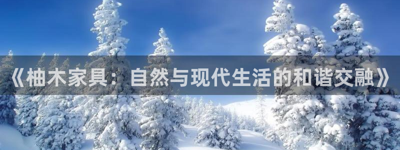 安信12注册登录