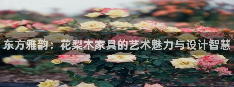 安信12周年庆典