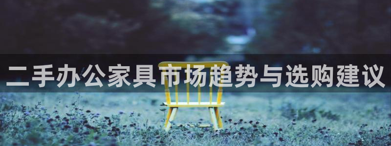 安信12包赔