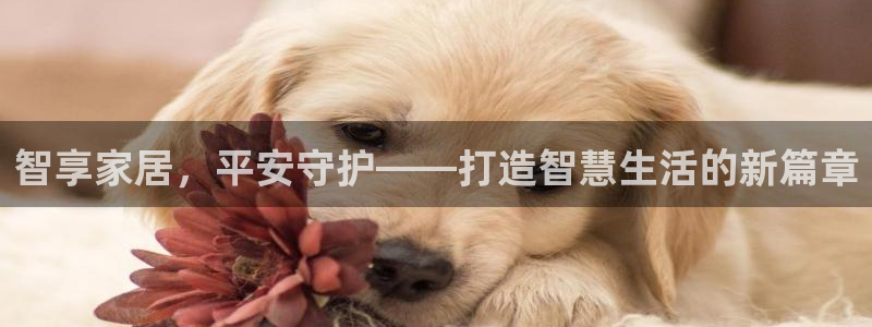 下载安信12