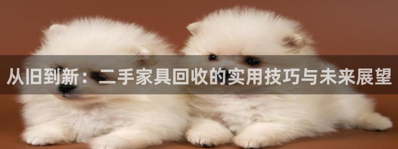 安信12注册登录