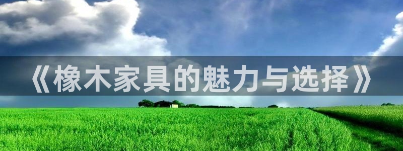 安信12软件介绍