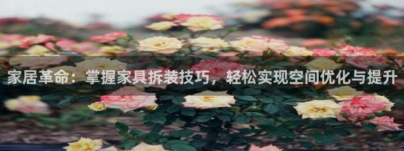 安信12是做什么