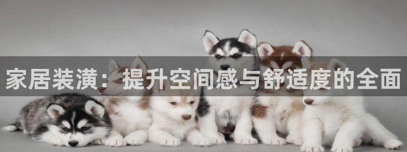 下载安信12