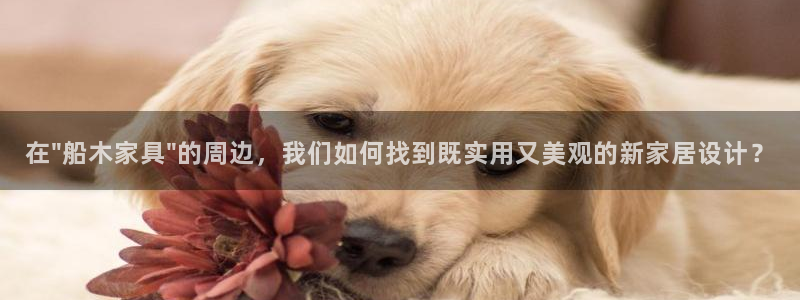 安信可12e12f