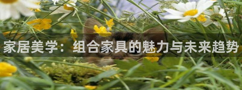 安立信T12测评