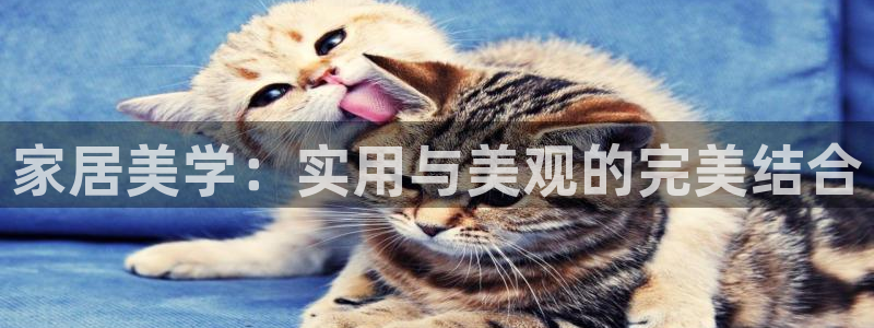 安信信托12 期