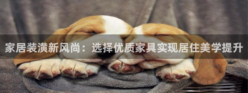 安信12娱乐