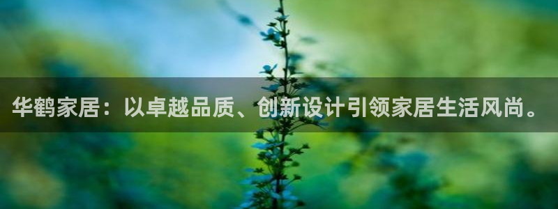 安信卓越12月