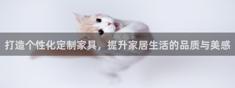 安信12是什么软件