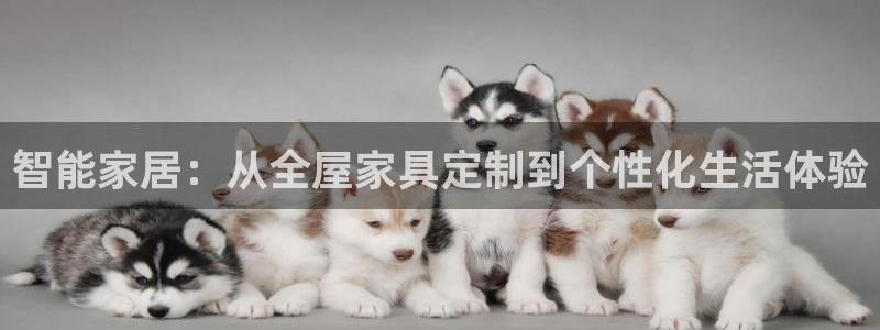 安信12怎么注册：智能家居：从全屋家具定制到个性化生活体验