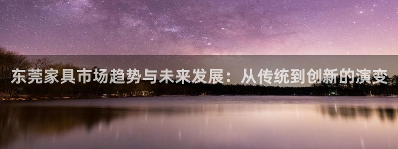 安信12真假：东莞家具市场趋势与未来发展：从传统到创新的演变