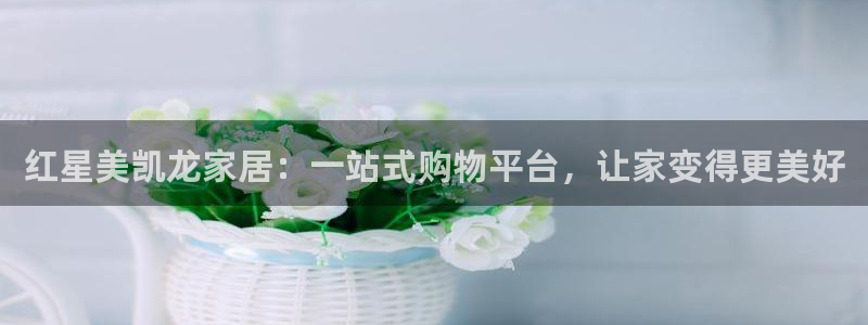 安信12官网