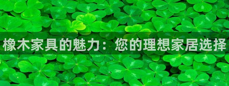 安信安翼 12账号