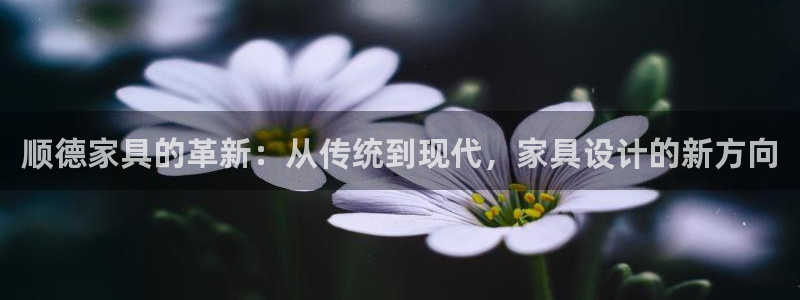 安信12平台官网