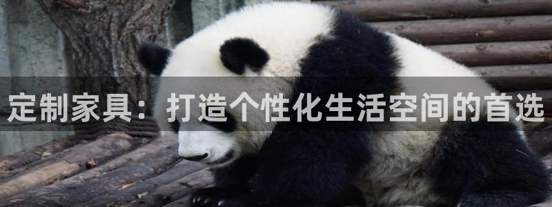 安信12官网qq