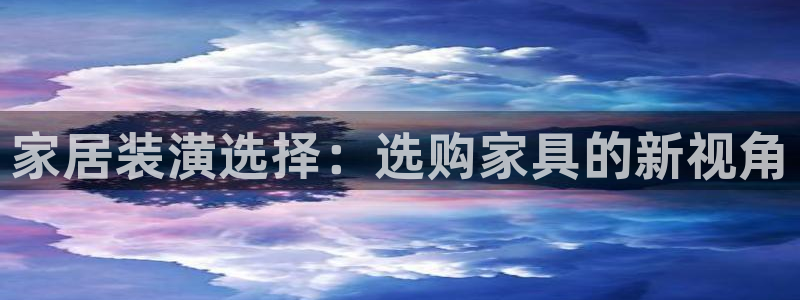 安信12真假：家居装潢选择：选购家具的新视角