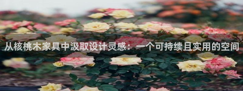 安信12注册代理