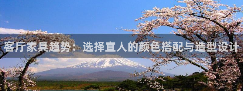 安信12包赔