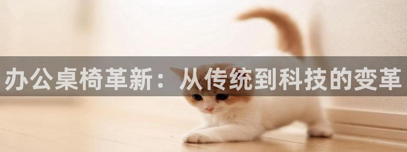安信可esp-12