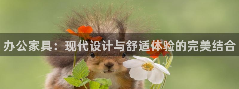 安信12代理：办公家具：现代设计与舒适体验的完美结合