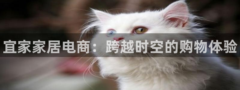 安信12是什么