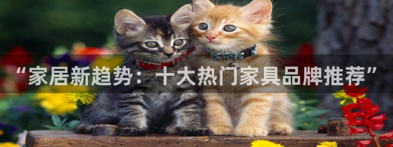 安信12官方网站查询：“家居新趋势：十大热门家具品牌推荐”