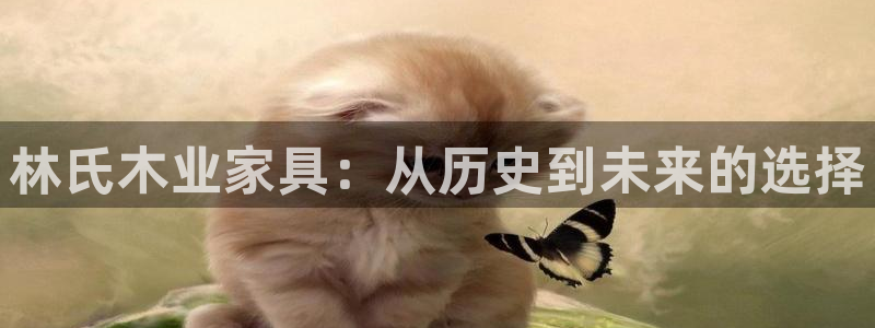 安信12周年庆典