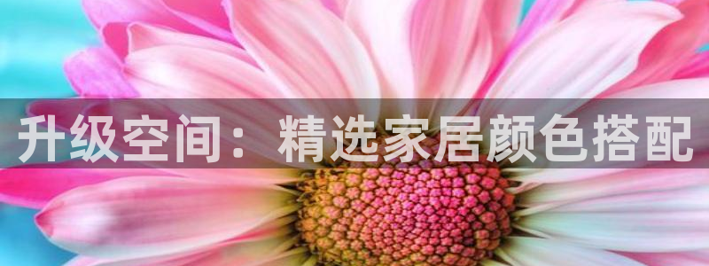 安信娱乐12登录地址