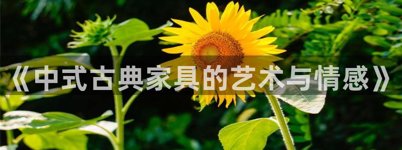 安信12是正规平台吗