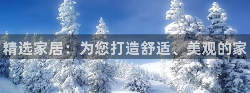 安信12娱乐主管