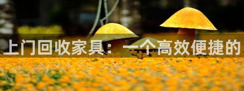 安信122853179Z空间：上门回收家具：一个高效便捷的