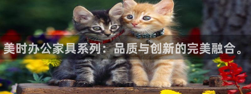 安信12是正规还是仿