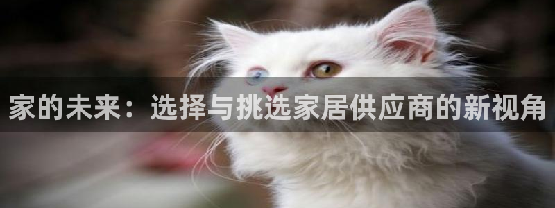 安信12娱乐开户