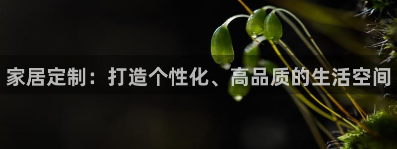 安信12网站：家居定制：打造个性化、高品质的生活空间